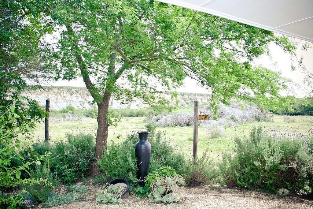 Villa De Old Drift Guest Farm à Addo Extérieur photo