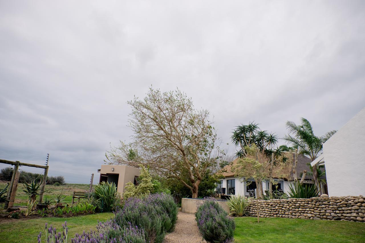 Villa De Old Drift Guest Farm à Addo Extérieur photo